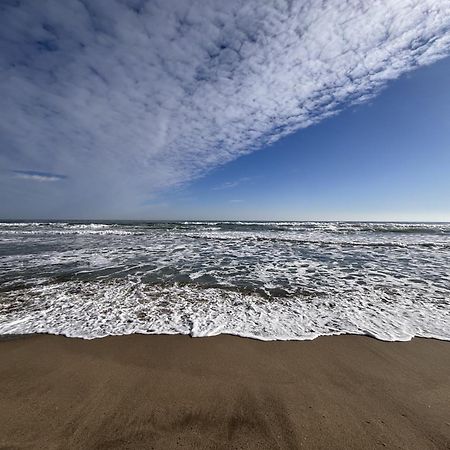 Studio Calme Et Moderne A 300M De La Plage -1- Canet-en-Roussillon Dış mekan fotoğraf