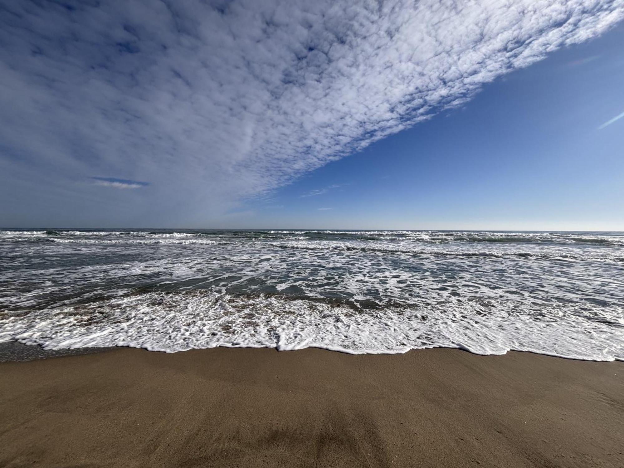 Studio Calme Et Moderne A 300M De La Plage -1- Canet-en-Roussillon Dış mekan fotoğraf